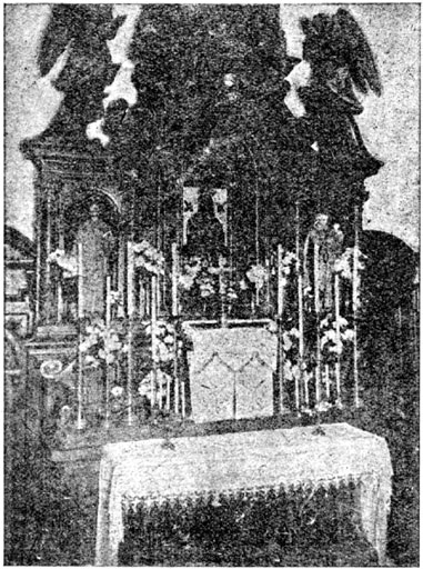Ołtarz kaplicy Seminarjum duchownego z cudownym obrazem Matki Bożej