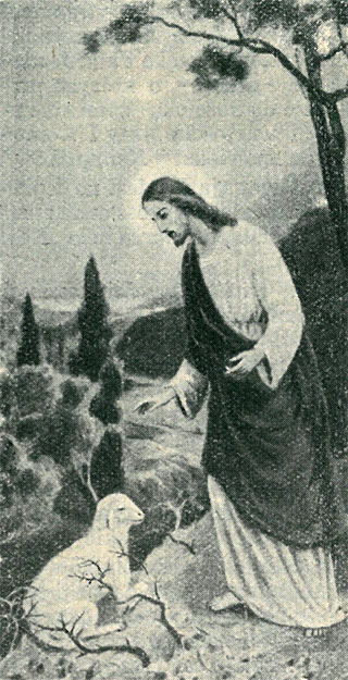 Pan Jezus ratuje owieczkę z ciernistych krzewów