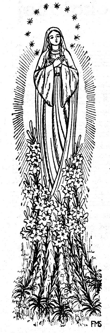 Rycerz Niepokalanej 12/1946, grafika do artykułu: Lilie, s. 316