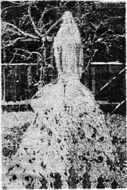 Rycerz Niepokalanej 1/1949, zdjęcie do artykułu: Niepokalana Matka Boga, s. 9