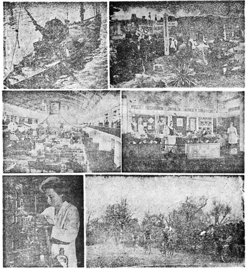 Rycerz Niepokalanej 4/1949, Kronika, s. 183-185