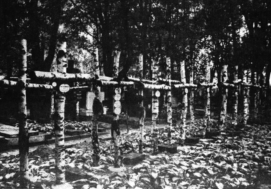 Grafika do art. Ścieżkami cmentarza